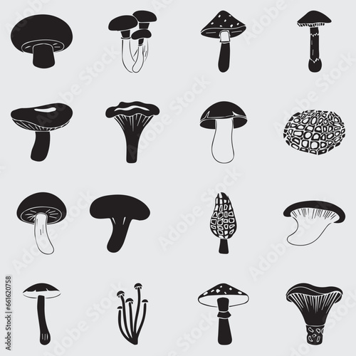Mashrooms collection set vector illustration.