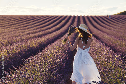 Lavendel Fields in Summer in France