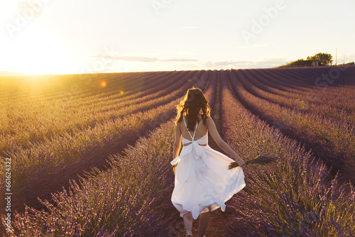 Lavendel Fields in Summer in France
