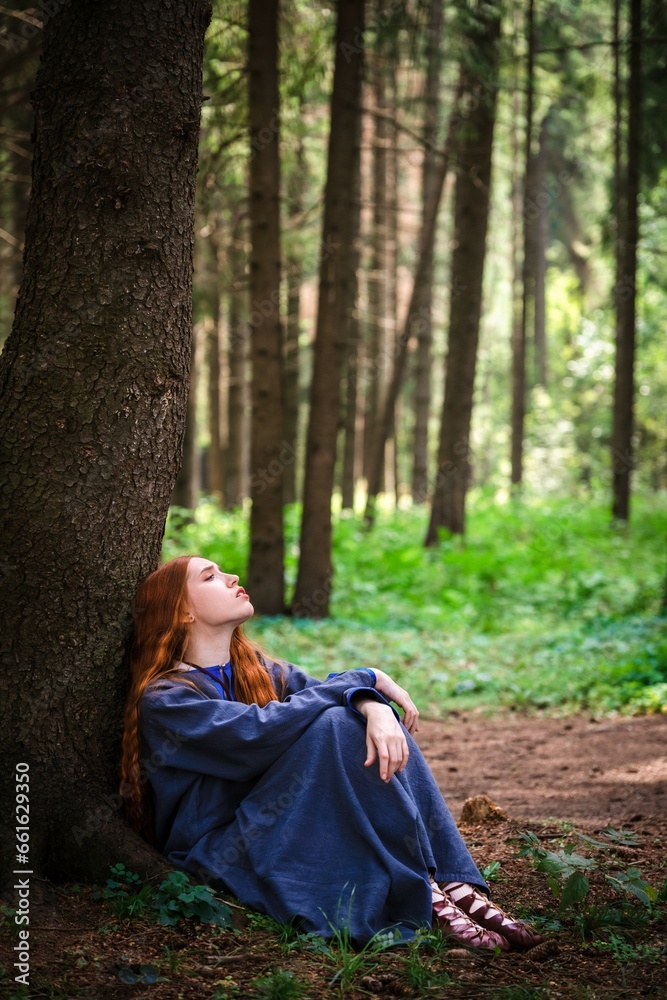 Lost in the forest Lost in the forest