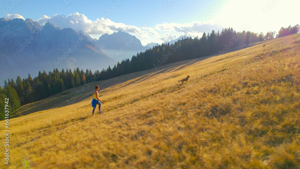 AERIAL: Picturesque mountain landscape where fit young lady is walking her dog