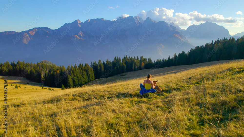 AERIAL: A lady rests on a picturesque autumn alpine meadow with her adorable dog