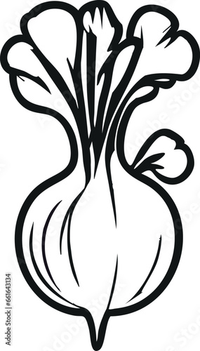 Beet Illustration Radish Illustration