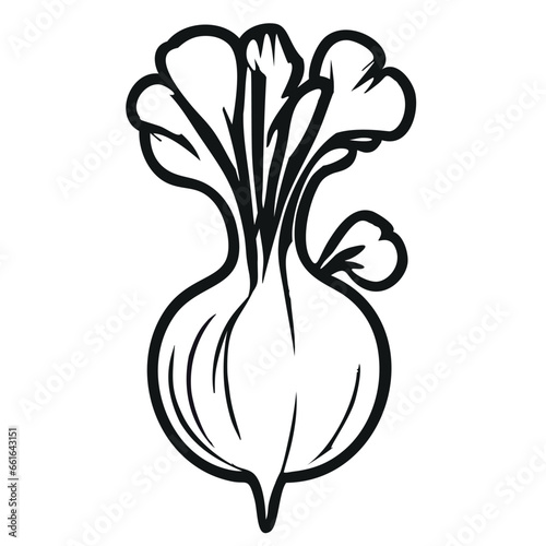 Beet Illustration Radish Illustration
