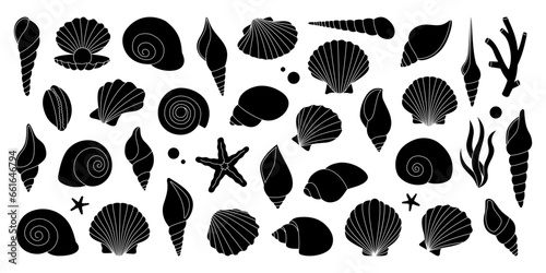 Tropical underwater shells. Pearl shells set. Freshwater algae, corals, starfish, sea mollusks, scallop, pearls. Vector illustration.