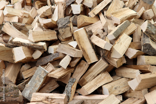 Brennholz für den nächsten Winter