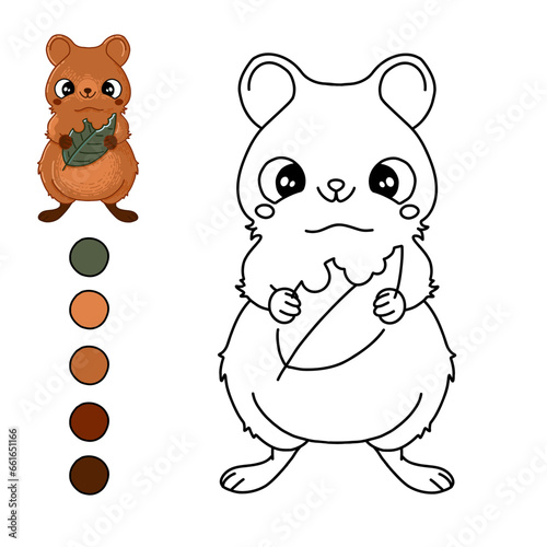 Cute australian quokka eating leaf. Ready to print coloring page for children. Vector illustration of animal.