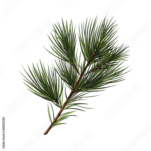 Hand Drawn Flat Color Pine Needle Illustration