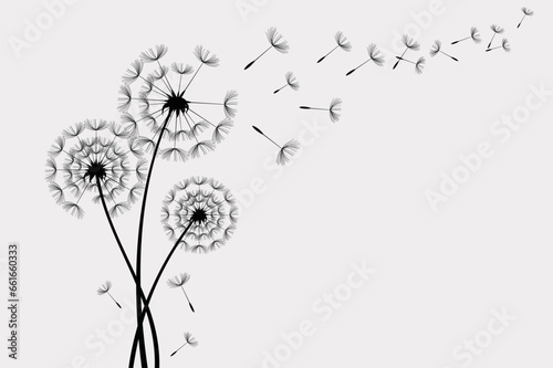 Wild flower dandelion in a vector style isolated. Vector flower for background, texture, wrapper pattern, frame or border.