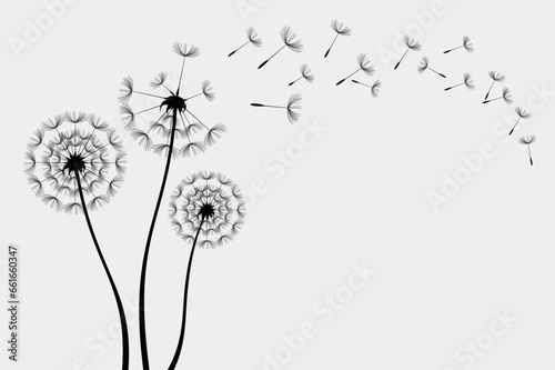 Fototapeta Naklejka Na Ścianę i Meble -  Wild flower dandelion in a vector style isolated. Vector flower for background, texture, wrapper pattern, frame or border.