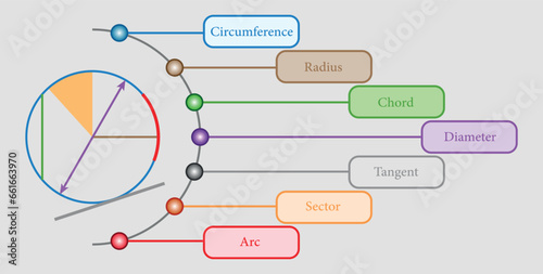 Parts of circle. Circles for kids. Radius, Diameter, Circumference, Chord, Arc, Tangent, Segment and sector. Mathematics resources for teachers and students.