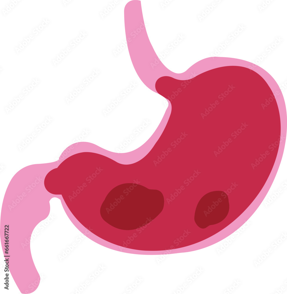 Stomach icon. Human internal organs symbol. red and pink flat Digestive system anatomy. Vector illustration in flat style isolated on transparent background. Stomach icon. Human internal organs symbol. red and pink flat Digestive system anatomy. Vector illustration in flat style isolated on transparent background.
