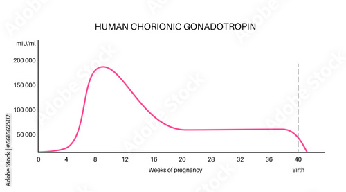 Hormones in pregnancy