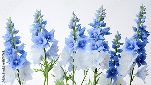 Portrait beautiful delphinium flower isolated on white background AI Generative