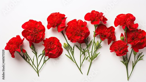 Portrait beautiful red flower isolated on white background AI Generative