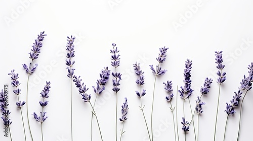 Portrait Beautiful mixed lavender flower AI Generative