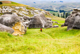 The very large Elephant Rocks in New Zealand