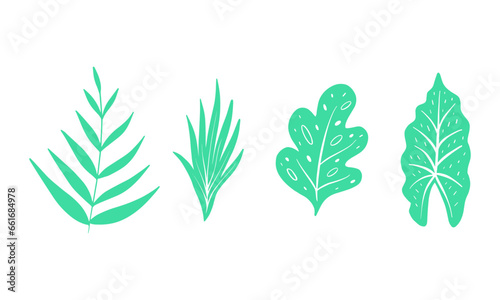 Vector abstract tropical leaves on white background