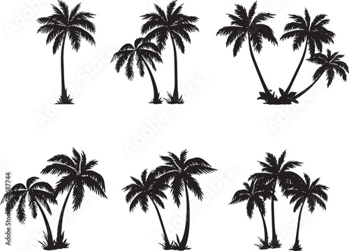 icon set set of palm tree or Arecaceae  propical branch  beach  bush 