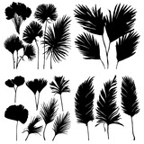 Pampas grass silhouettes