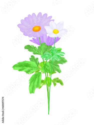 紫と白の小さな花 © toshikimi