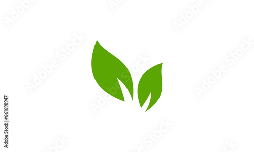green leaves isolated on white © Sono