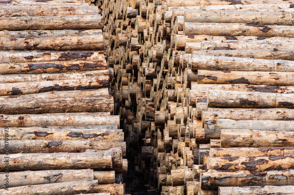 Logs, or Lumber, stacked at Port ready for export from New Zealand. Logs, or Lumber, stacked at Port ready for export from New Zealand.