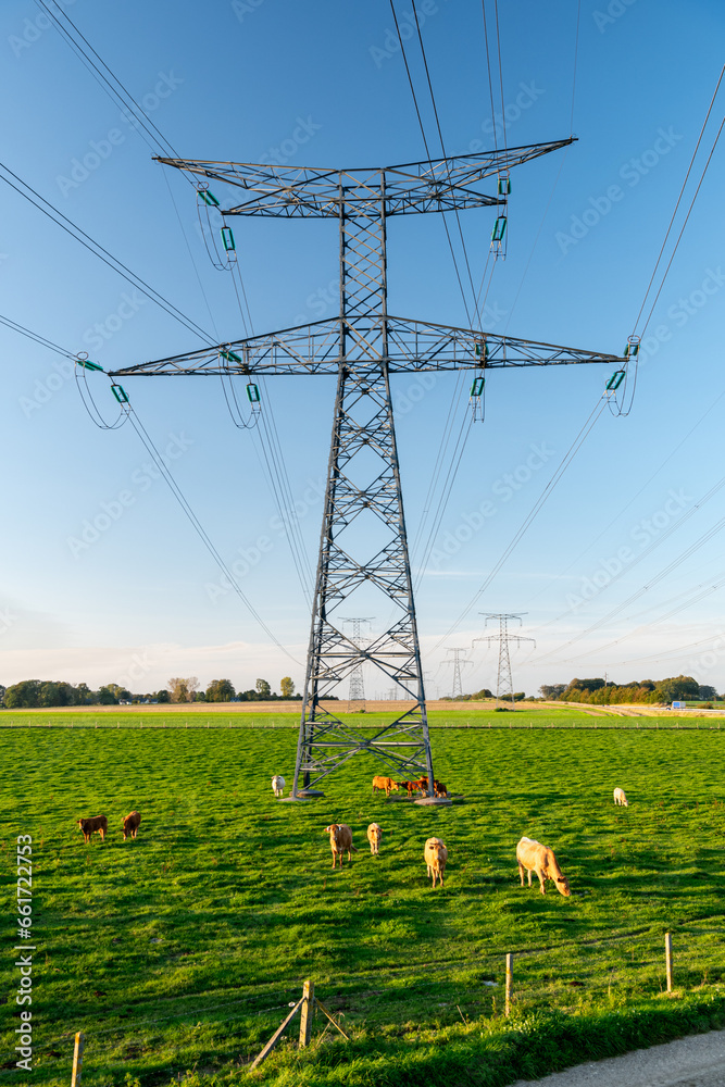 Les pylônes haute tension ont reçu un coup de neuf