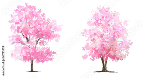 Vector watercolor blooming flower tree or forest side view isolated on white background for landscape and architecture drawing,elements for environment or and garden,Sakura tree for section ,Set of fl