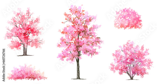 Vector watercolor blooming flower tree or forest side view isolated on white background for landscape and architecture drawing,elements for environment or and garden,Sakura tree ,cherry blossom 