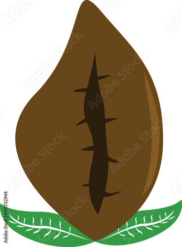 coffee beans with green leaves