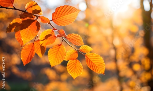 autumn leaves on a tree  Generative AI