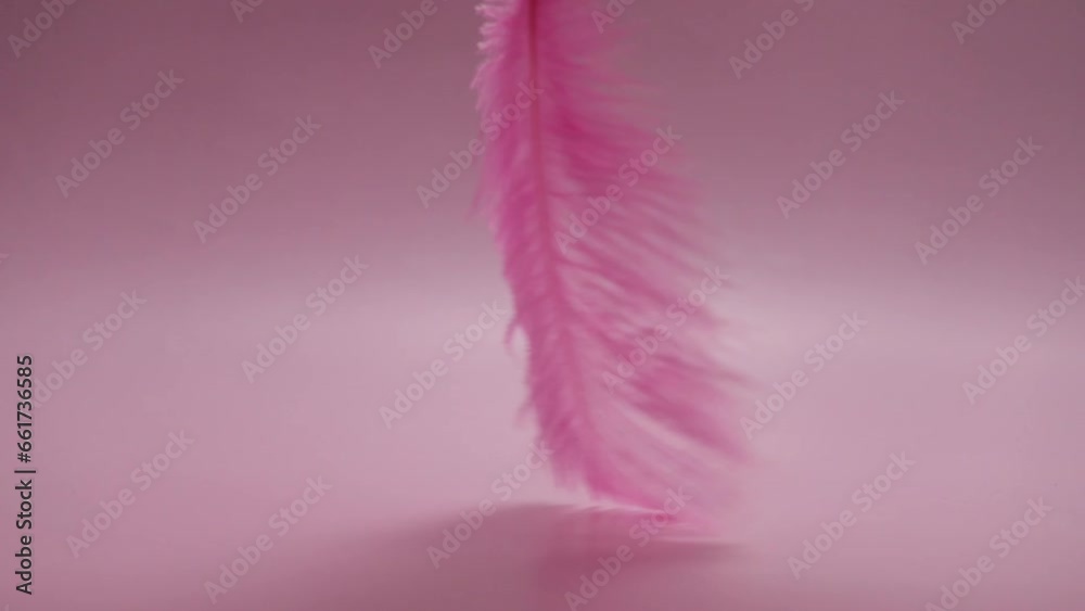 Feather on pink background, a minimalist design, care and sensitivity, feelings of grace and lightness
