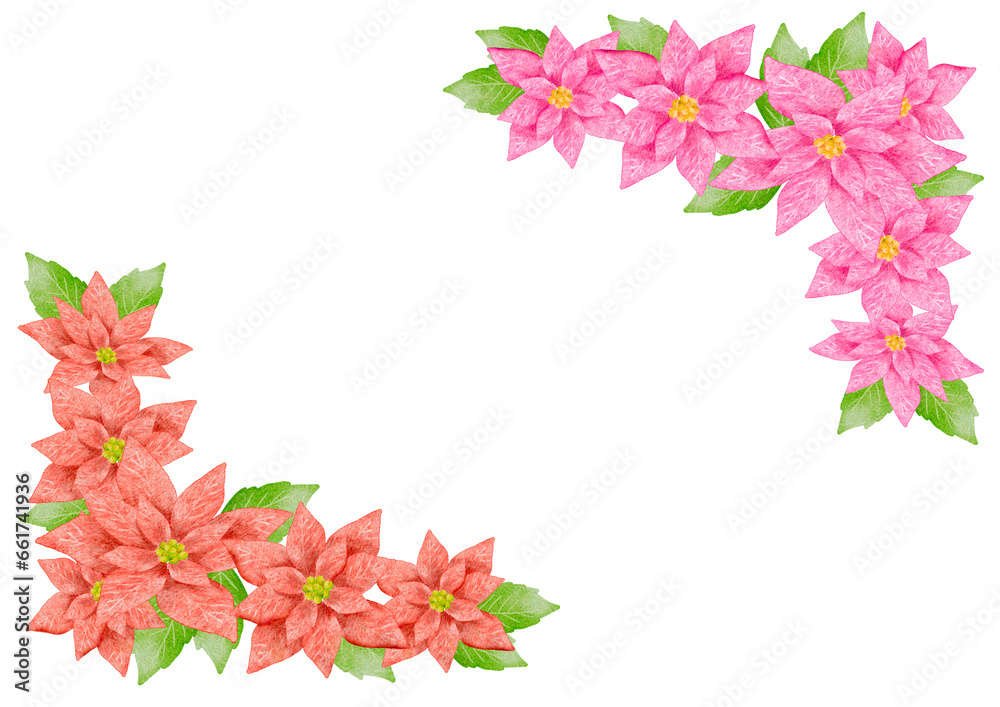 Obraz premium ポインセチアのフレーム 水彩画