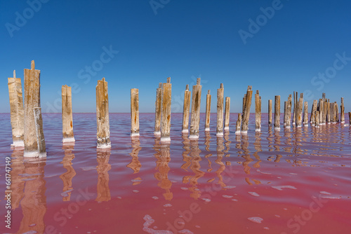 Red salt lake on the Crimean peninsula . 