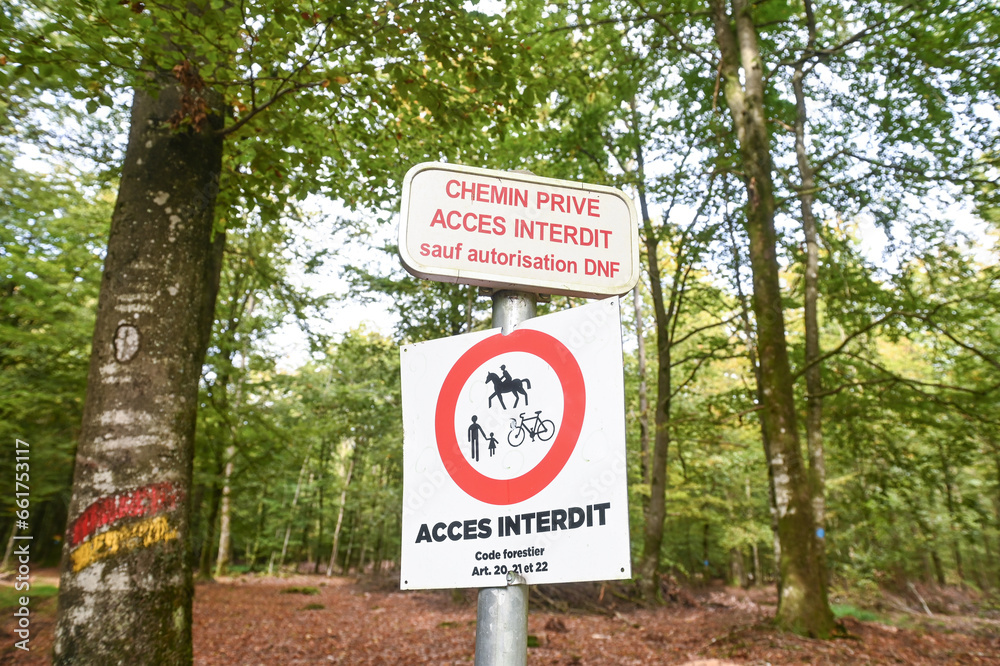 Belgique Wallonie Ardenne foret Anlier chemin privé interdit environnement nature - obrazy, fototapety, plakaty 