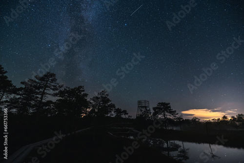 Night scene at the Estonian Seli bog, starry sky and milky way, photo in low light.