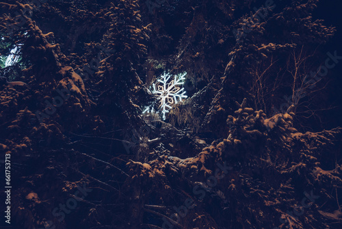 snowflake illumination inside fir tree at street