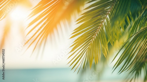 Blur beautiful nature green palm leaf on tropical beach with bokeh sun light wave abstract background