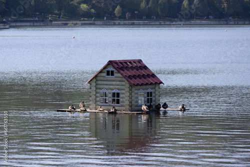Valea Morilor Park. A Bird House on the Water photo
