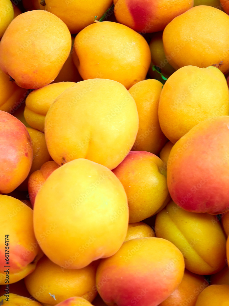 Ripe orange apricots in large quantities