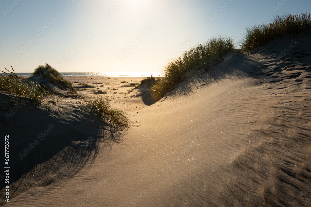 Dünenlandschaft 