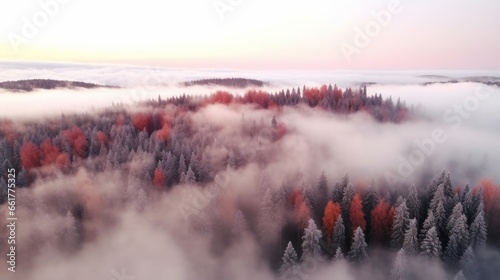 Aerial view of beautiful winter and autumn forest in low clouds at sunrise. Top view of orange and green trees in fog at dawn in fall. View from above of woods. Nature background. Multicolored leaves © Emil