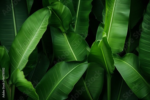 close up of tropical banana leaves. Generative AI