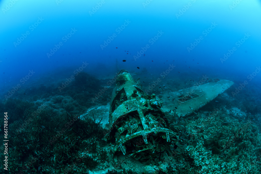 Naklejka premium Hellcat Aircraft Wreck