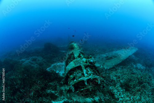 Hellcat Aircraft Wreck © Francesco