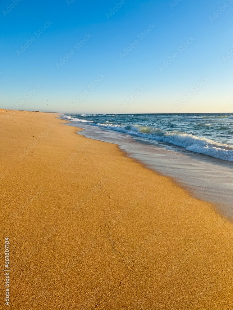 Blue sea horizon, clear sky, sandy coast