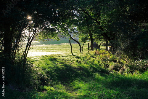 Al atardecer