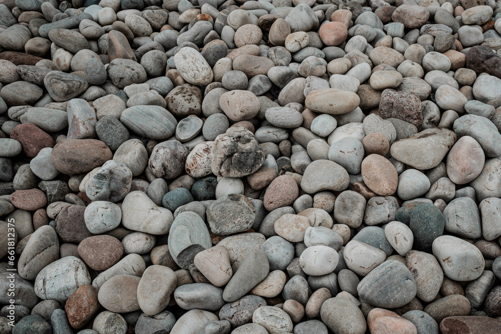 bright and smooth pebbles on the beach close up shot bright and smooth pebbles on the beach close up shot