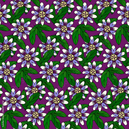 Seamless pattern with hand drawn doodle passion flower and leaves on purple background